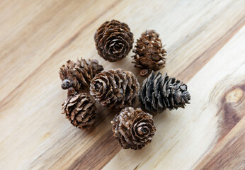 Dry and empty cones on wooden background.