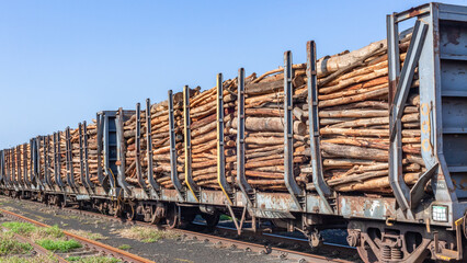 Train Cargo Wood Poles Logging  Wagon Trailers