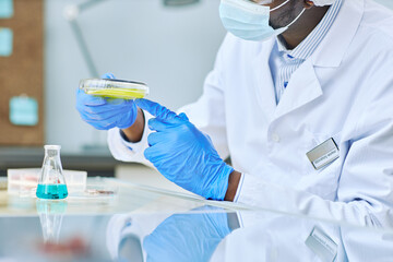 Close up of black man holding petri dish while working in modern laboratory, copy space