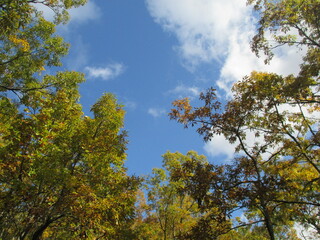 Obraz premium 熊本県阿蘇郡南小国町、晩秋のマゼノ渓谷の美しい風景