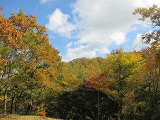 Naklejka premium 熊本県阿蘇郡南小国町、晩秋のマゼノ渓谷の美しい風景