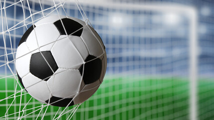 Soccer ball in the net