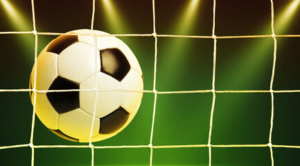 Soccer ball on the net
