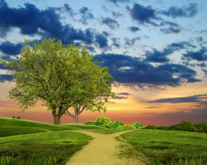 Fototapeta premium dramatic sunset sky green field and trees nature landscape