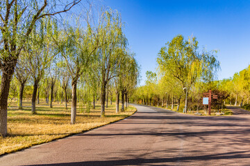 Autumn landscape of Wuqing Nanhu Park in Tianjin