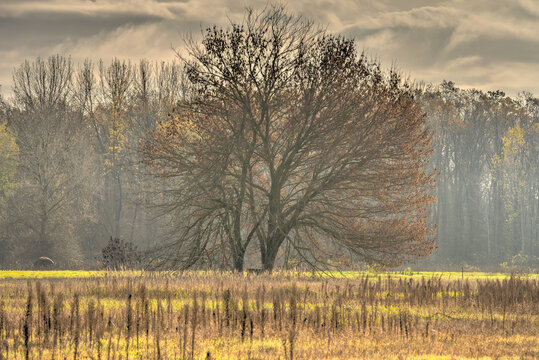 Hungarian countryside in autumn, HDR Image