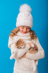 Obraz premium a cute little girl in a white knitted hat and sweater is holding a kitten on a blue background in the studio. Space for text. The concept of Christmas, the symbol of the year