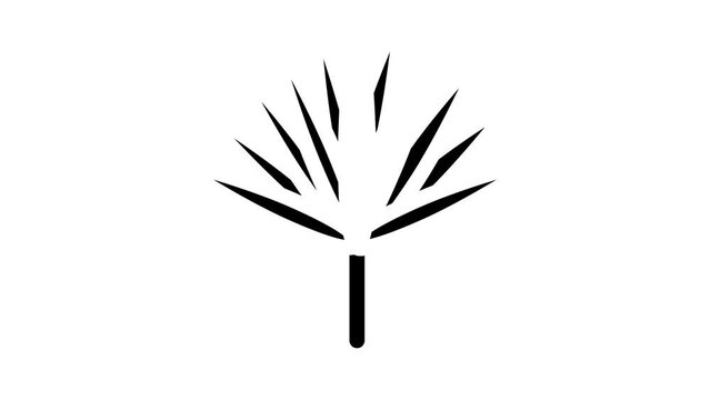 chamaerops tropical leaf glyph icon animation