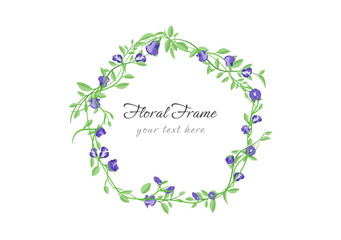 blooming butterfly pea flower frame vector