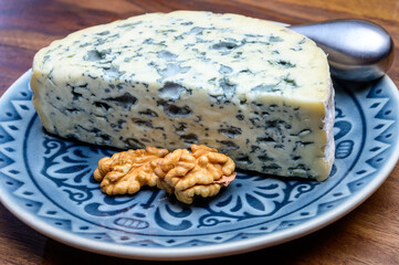 Cheese collection, piece of French blue cheese auvergne or fourme d'ambert