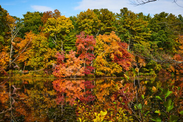 Lake surface reflecting fall forest foliage