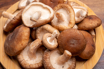 Fresh brown Lentinula edodes or shiitake edible mushrooms