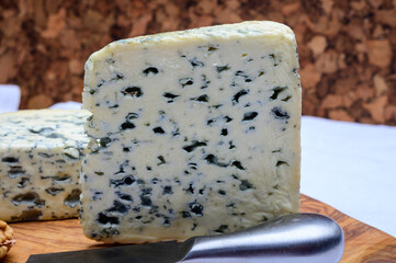 Cheese collection, piece of French blue cheese auvergne and fourme d'ambert