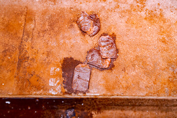 Thrown used tea bags on the floor of unfinished edifice, environmental pollution