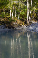Reflections of trees in Rhine River at gorge of Anterior Rhine Valley on a sunny autumn day. Photo taken September 26th, 2022, Versam, Switzerland.