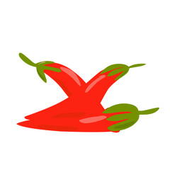 Red Chilli pepper illustration