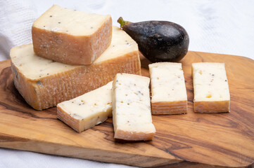 Italian cheese collection, yellow taleggio cheese with black truffles mushrooms