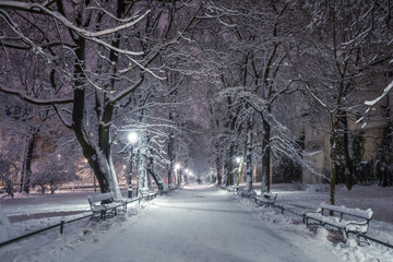 A snow-covered park in Krakow captured at night. Thanks to the large amount of snow, a fairy-tale atmosphere was created.
