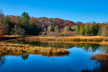 Winding Michigan river in late fall surrounded by foliage and with blue skies
