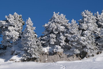 Paysage de neige