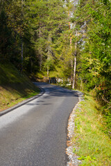 Beautiful autumn morning with scenic view of winding road in the Swiss Alps in the woods. Photo taken September 26th, 2022, Versam, Anterior Rhine Valley, Switzerland.