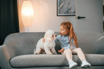 Sitting on the sofa. Little girl is with maltese dog indoors in domestic room