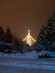 christmas tree at night