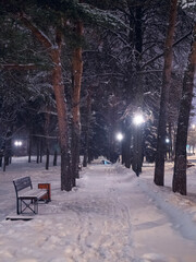 winter in the park