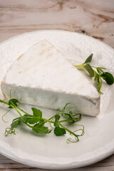 Cheese collection, French brie de Meaux cheese from Seine-et-Marne region with white mold