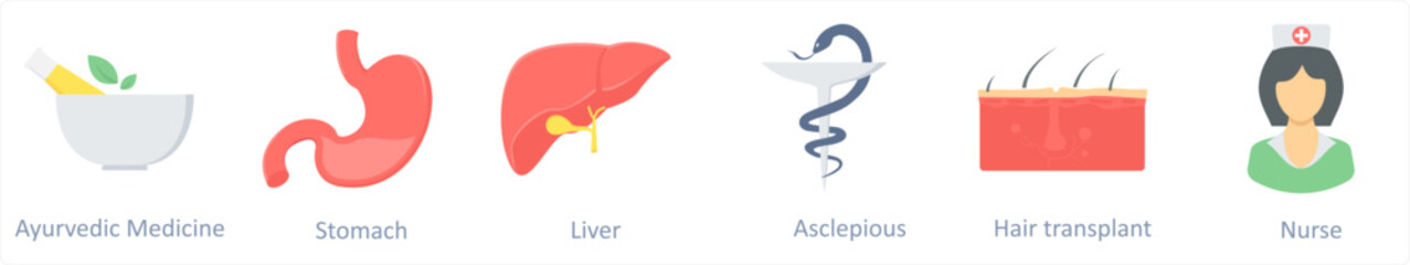 ayurvedic medicine, stomach, liver