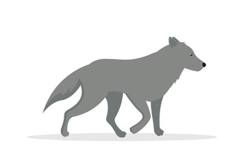 Gray wolf - side view, illustration, vector, cartoon