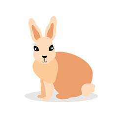 Pink hare sits and looks sideways