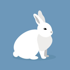 The white hare stands on four legs