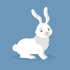 White rabbit stands on four legs