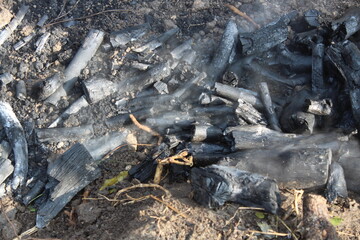 Branches that are burned to make natural charcoal for sale.