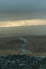 West Lomond Hill hiking