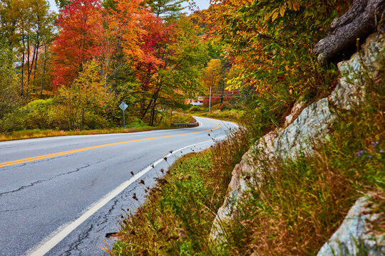 Roadside in Vermont with view of fall trees and rocky wall in foreground