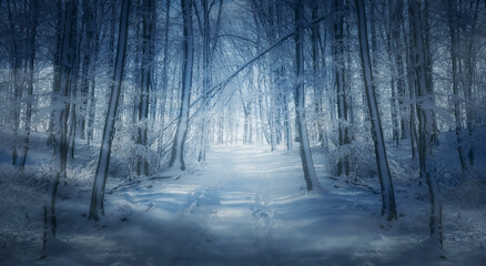 snowy forest road, fantasy winter landscape