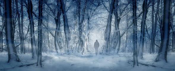 man in frozen woods, fantasy winter landscape