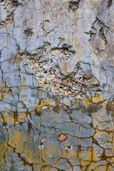 Detail texture of cracking cement wall with orange lichen