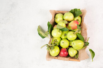 Apples in a basket standing on a table, fruit harvest in the summer, healthy organic food
