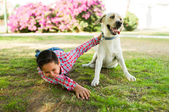 Cheerful boy outdoors playing with an excited retriever dog