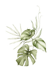Watercolor bouquet with bright tropical leaves, monstera. Jungle floral arrangements. Hand-drawn botany arrangements. Modern tropical isolated elements.
