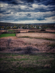 landscape in the morning