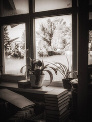 window in the morning