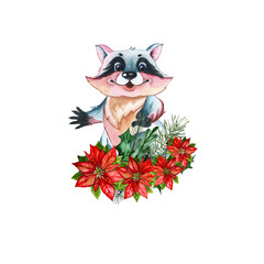 Watercolor cute raccoon, with poinsettia flowers. Canada. Christmas Star. illustration isolated on white background. Beautiful flower arrangement with watercolor cute cartoon animal