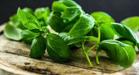 Fresh green basil leaves on a wooden board, close up view