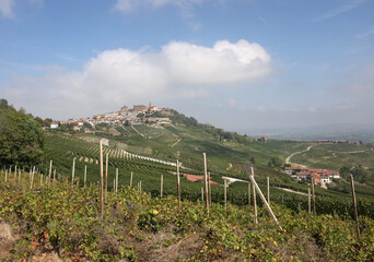 Fototapeta na wymiar Langhe vineyards near La Morra, Unesco Site, Piedmont, Italy