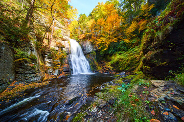 Golden fall leaves cover banks of river with cliffs and large waterfall in peak fall forest - Powered by Adobe