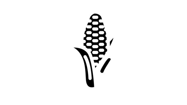 purple corn glyph icon animation